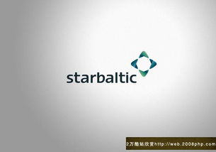 歐美StarBaltic公司企業(yè)網(wǎng)站VI形象設(shè)計(jì)與企業(yè)形象策劃